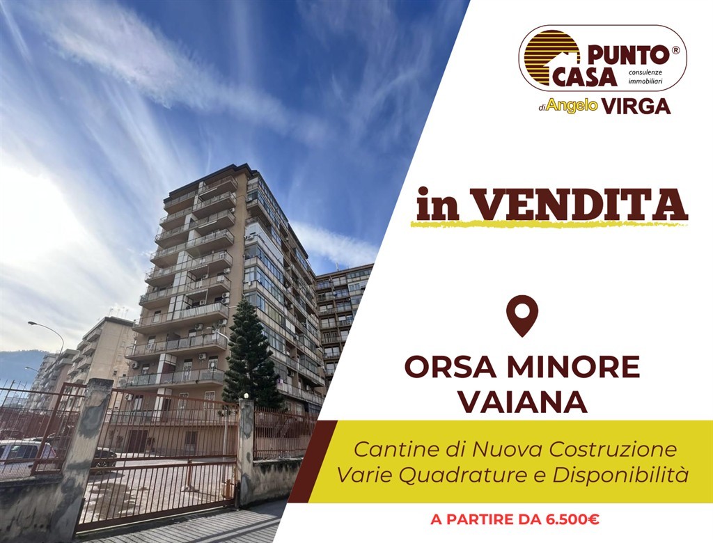 VAIANA - ORSA MINORE | Cantine di nuova costruzione Varie disponibilità e quadrature