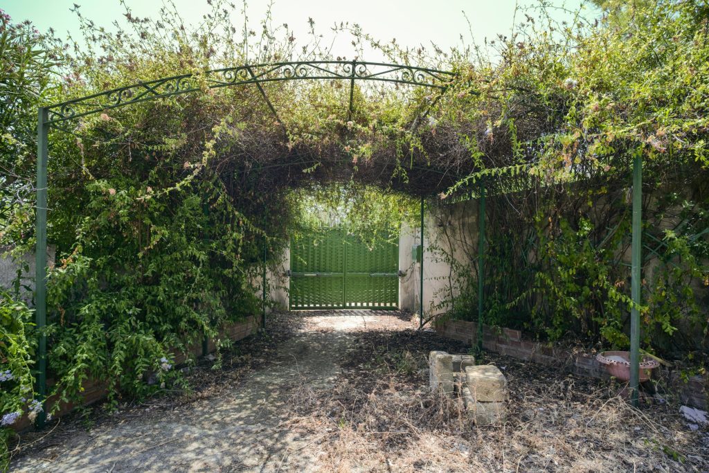 Villa Indipendente Zona Partanna Mondello, foto 1 di 30
