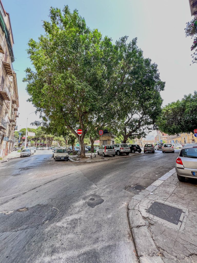 Monovano in Vendita Zona Calatafimi, foto 6 di 17